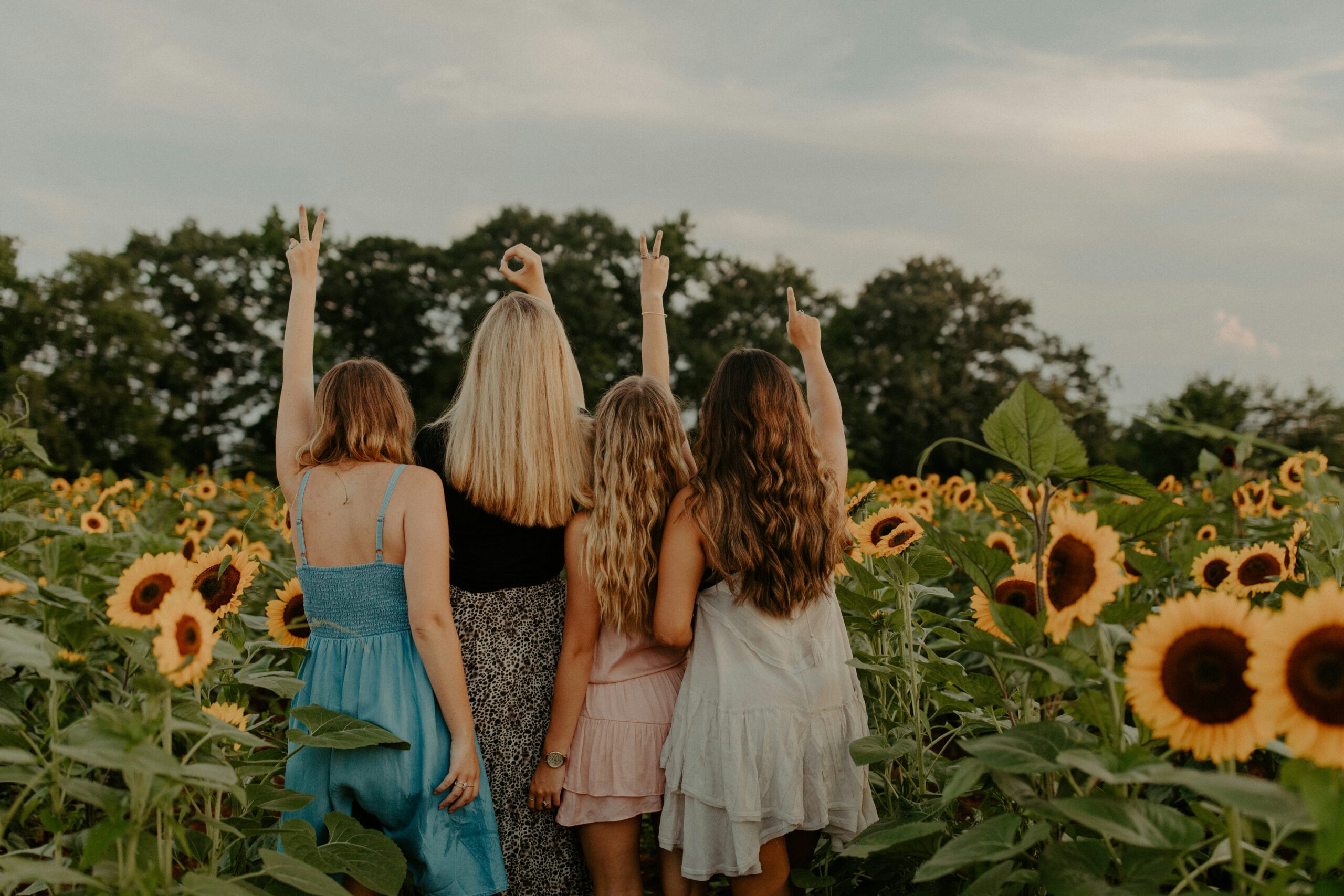 hannah-busing-V44e8Wr8Juo-unsplash