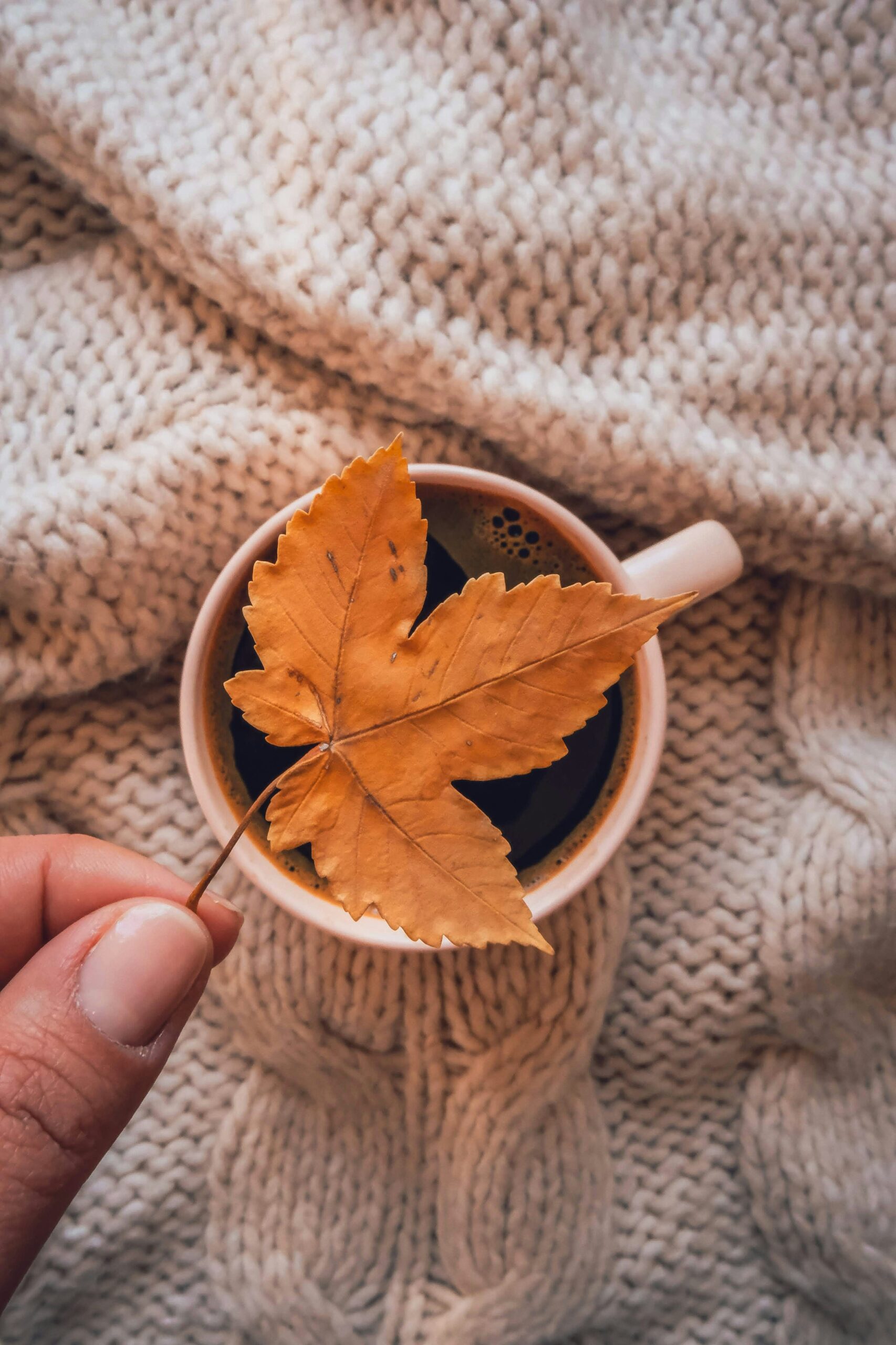 hello-aesthe-c0XBC4ktFLc-unsplash