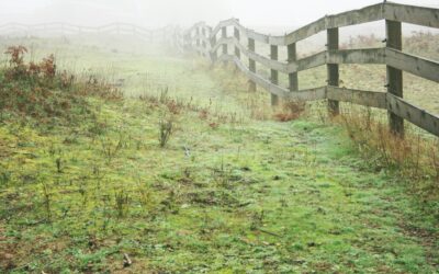 Why Everything Feels Overwhelming (Even When You’re Doing It Right)