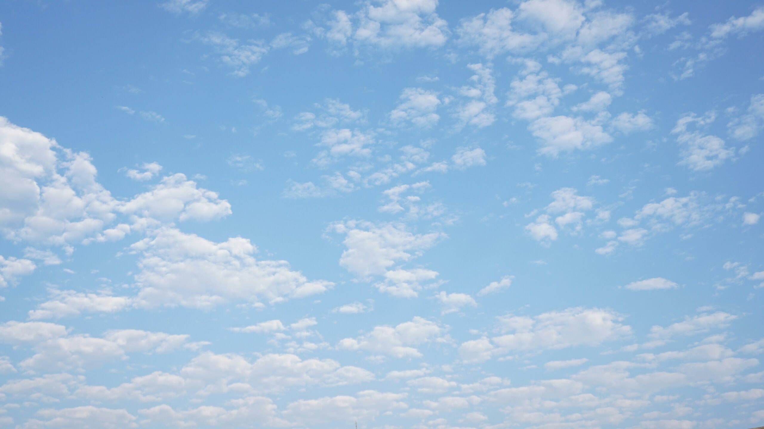 The Joy of the Dance Floor and the Quiet of the Sky - Lucy Atkinson